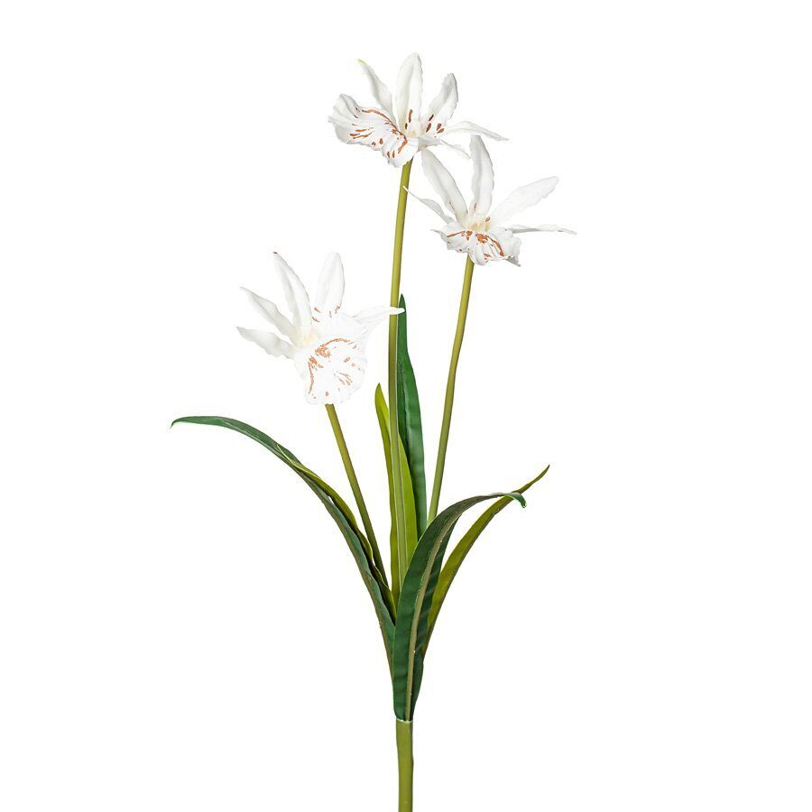 Орхидея брассия, 52см, кремовый
