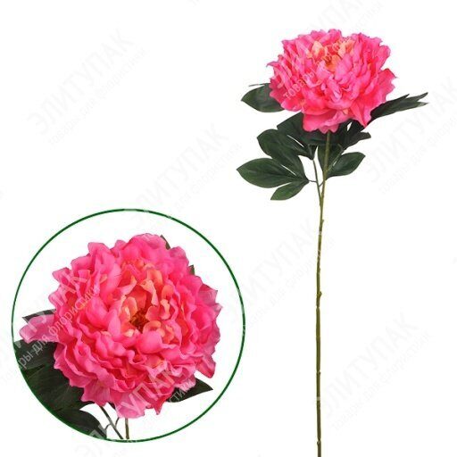пион "императорский"  85 см цвет:ярко-розовый